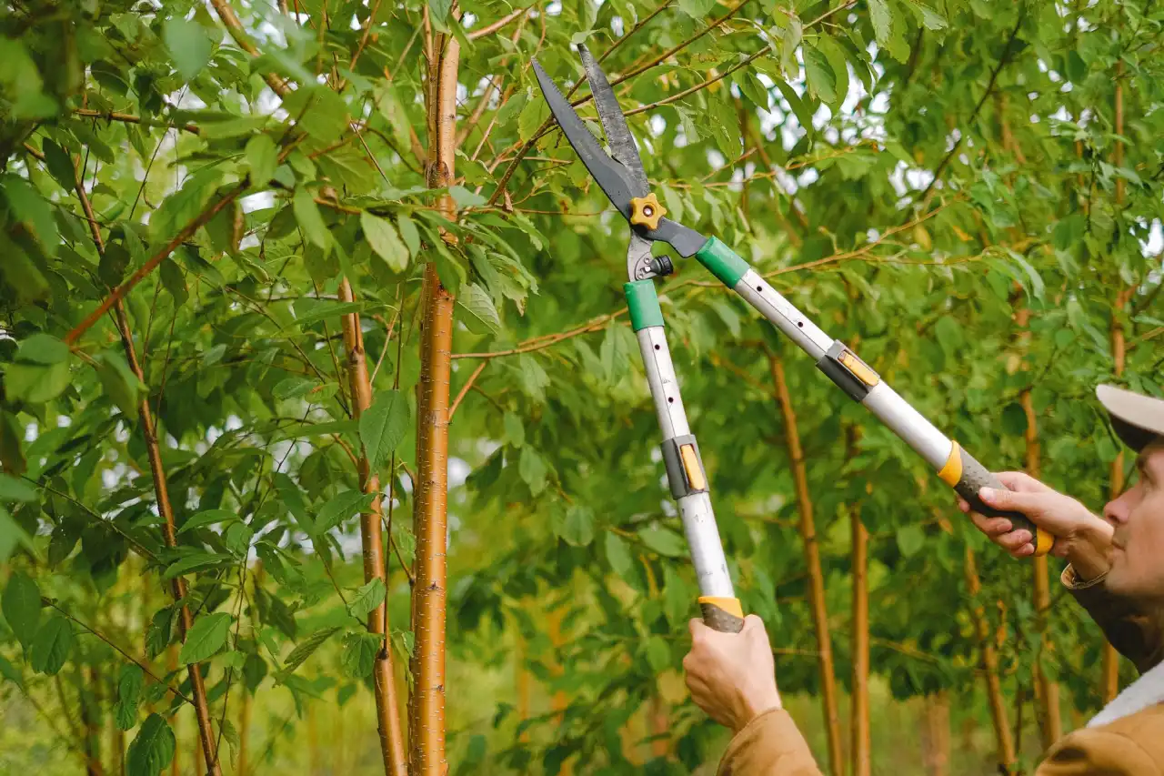 节能建材与常规保温材料性能对比分析:导热系数与耐久性差异解读正文配图 2